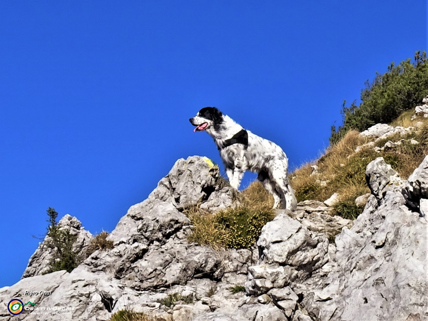 43 Anche NIna osserva il bel panorama.JPG